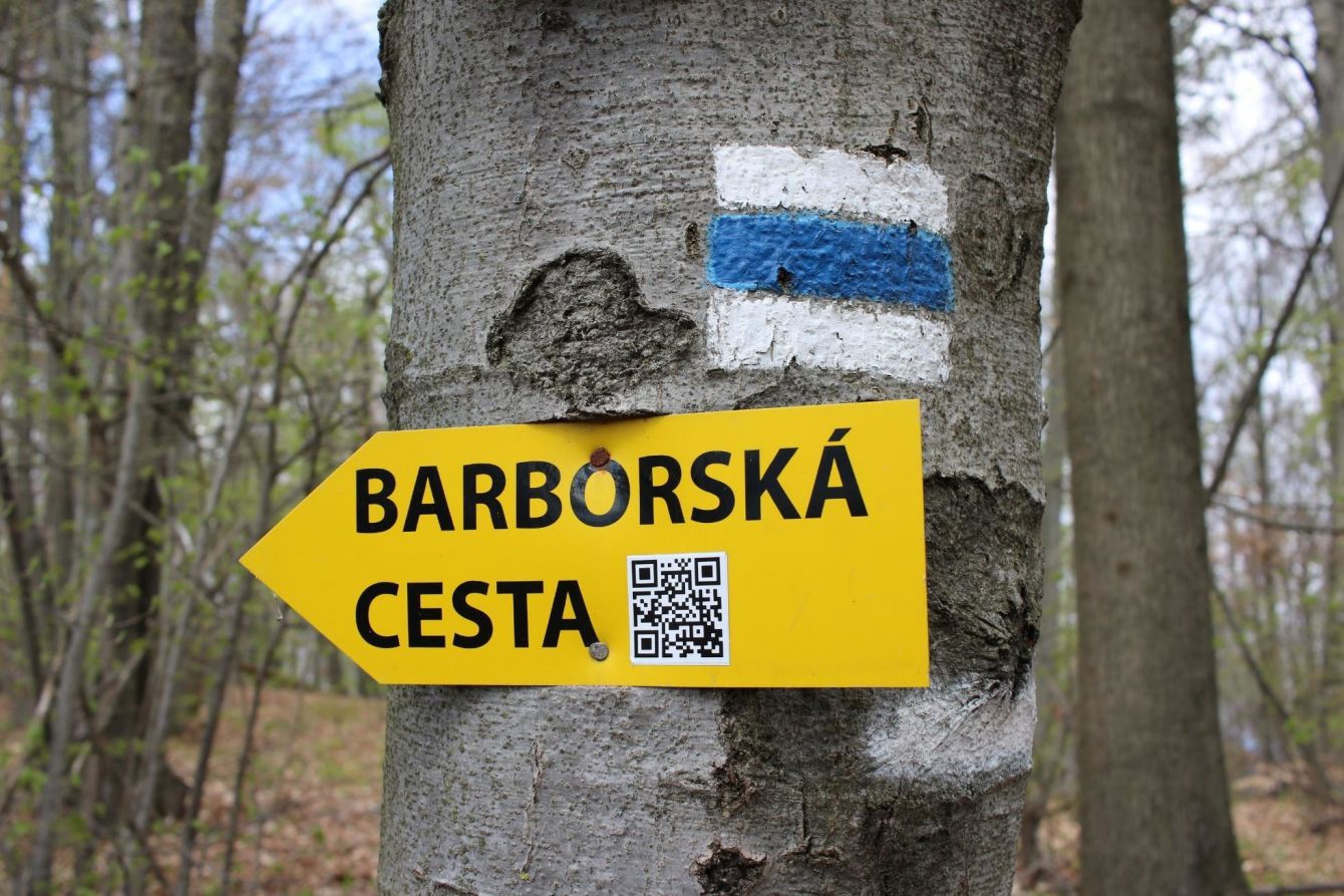 Pridajte sa k čisteniu Barborskej cesty
