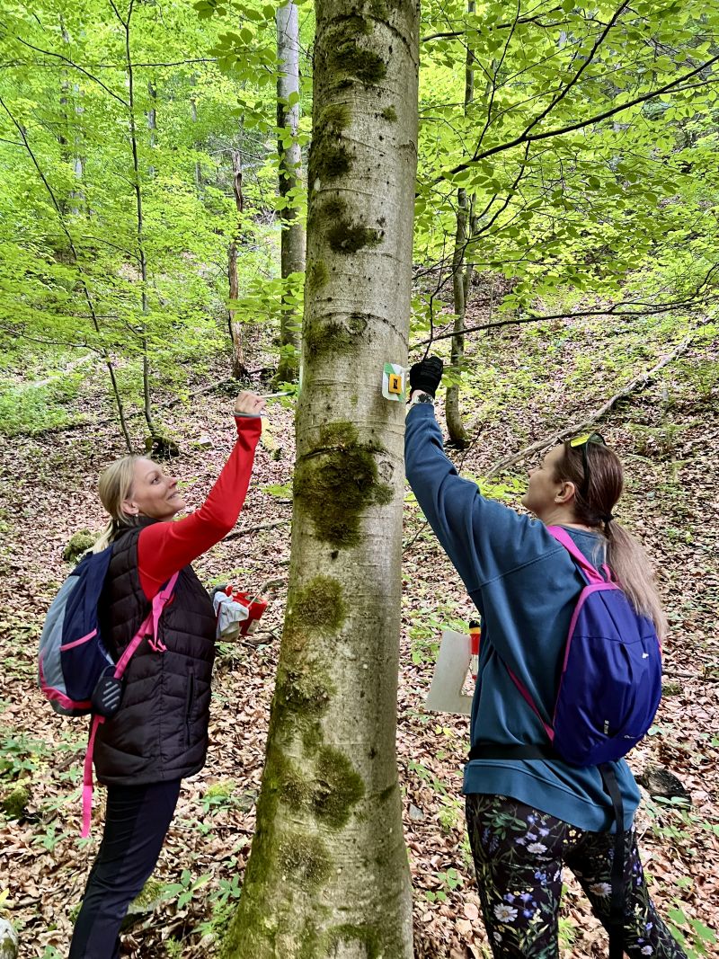 Obnova turistickej trasy Barborská cesta úspešne za nami!